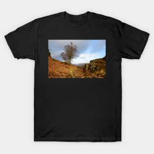 Walking over Holme Fell T-Shirt